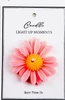 Chamomile Pink