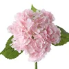 Rosa claro