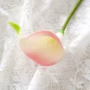 Pink green
