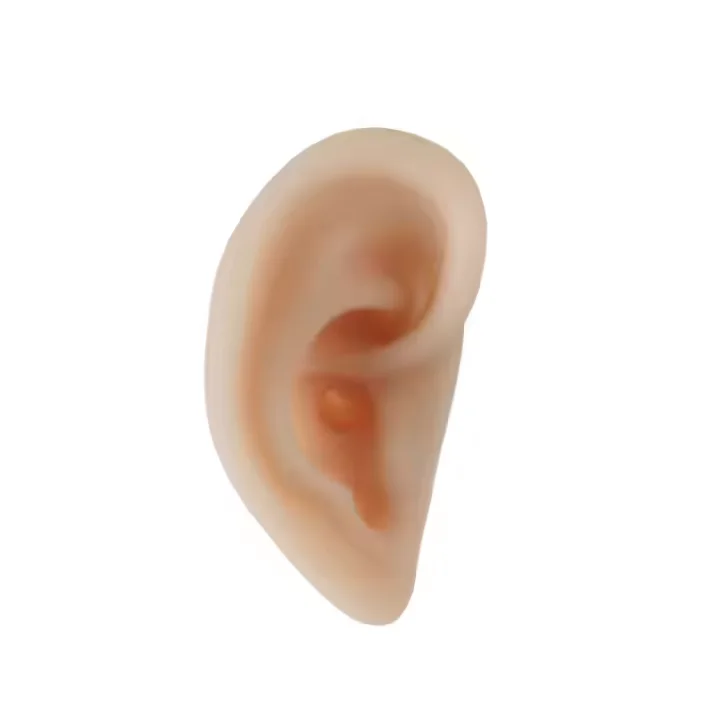 Medical Training Anatomical Model Soft Silicone Human Ear for Suturing Ear Sampling Science and Teaching Tool Organ Model