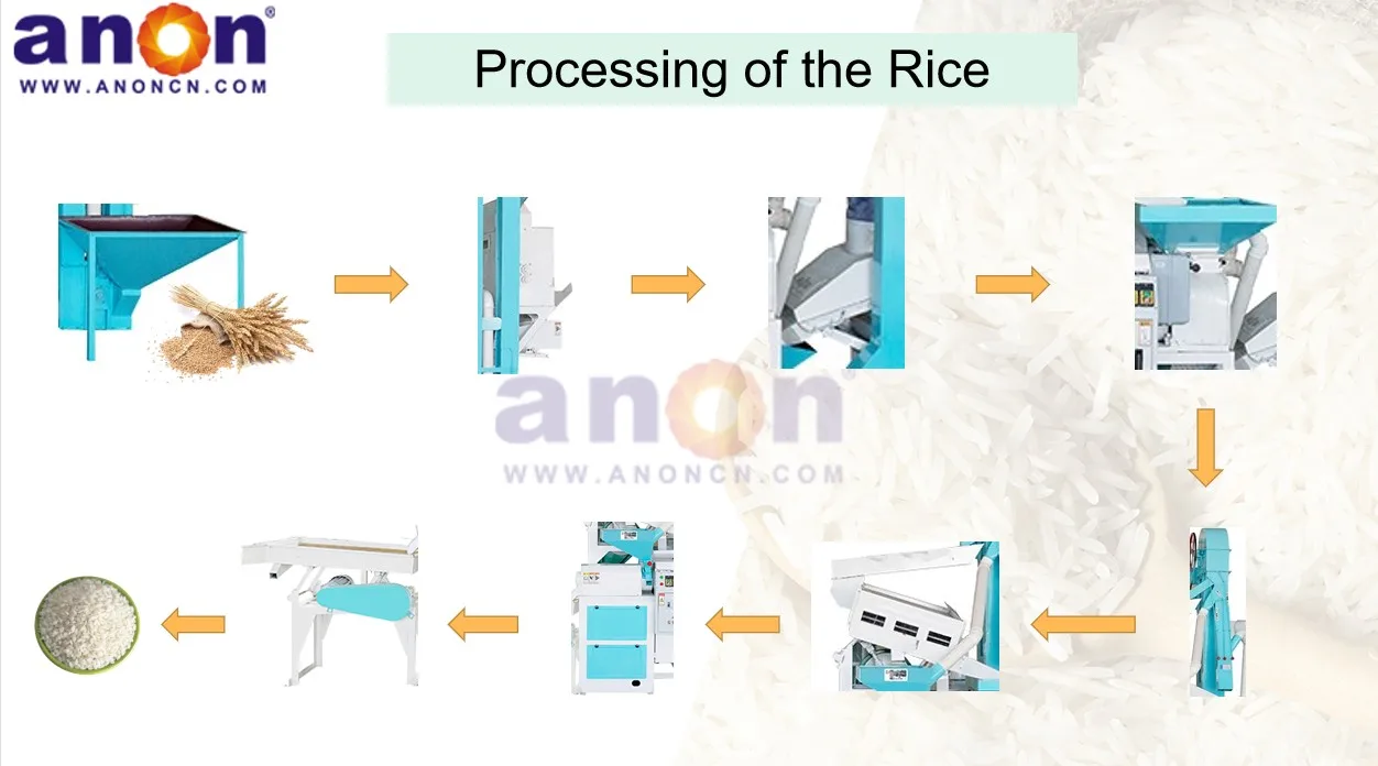 Anon 15s Rice Mill Machinery Paddy Automatic 15tpd Automatic Rice Mill