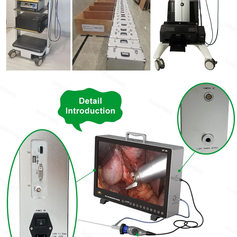 Sy-ps050 Endoscope Camera System - Buy Integrated Endoscope System ...