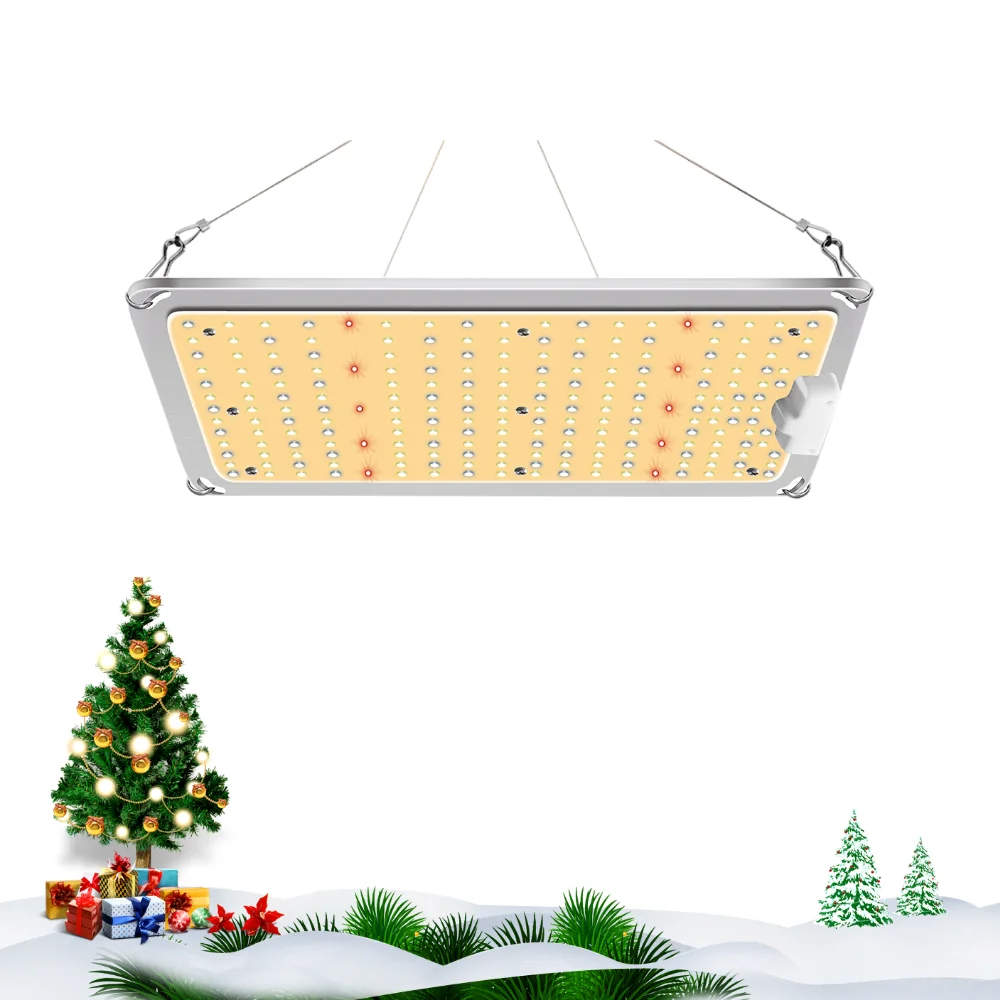 Hot Sale Grow Kit Seasonal Affective Disorder Light 1000w Trike For 100 Safety Buy Grow Light Kit 1000w Seasonal Affective Disorder Light 1000w Trike Product On Alibaba Com