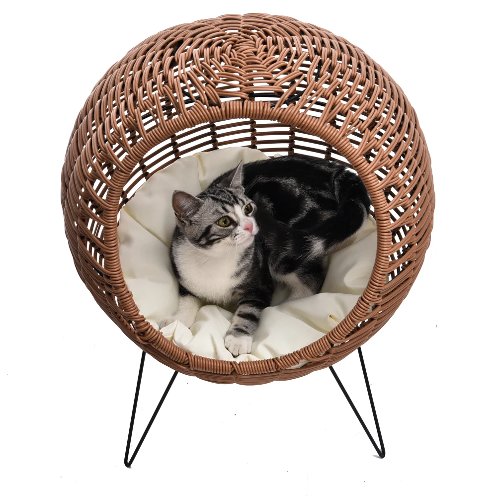 Artical Rattan Kitty Elevated Furniture Chair Elegance Modern Raised ...