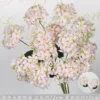 Pink 2-headed angel hydrangea