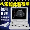 Doppler color ultrasound-with large convex probe