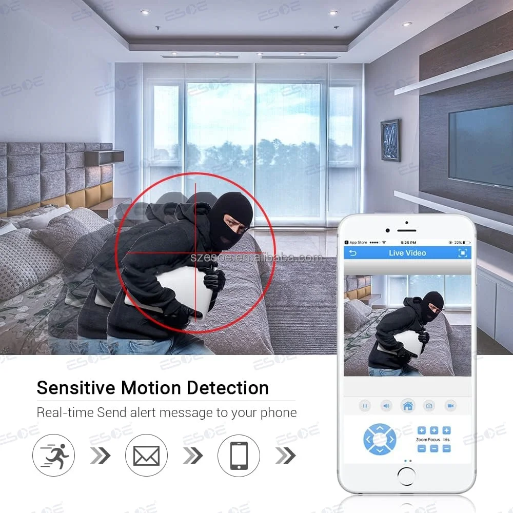 Customizable smart motion detection zones with alert settings