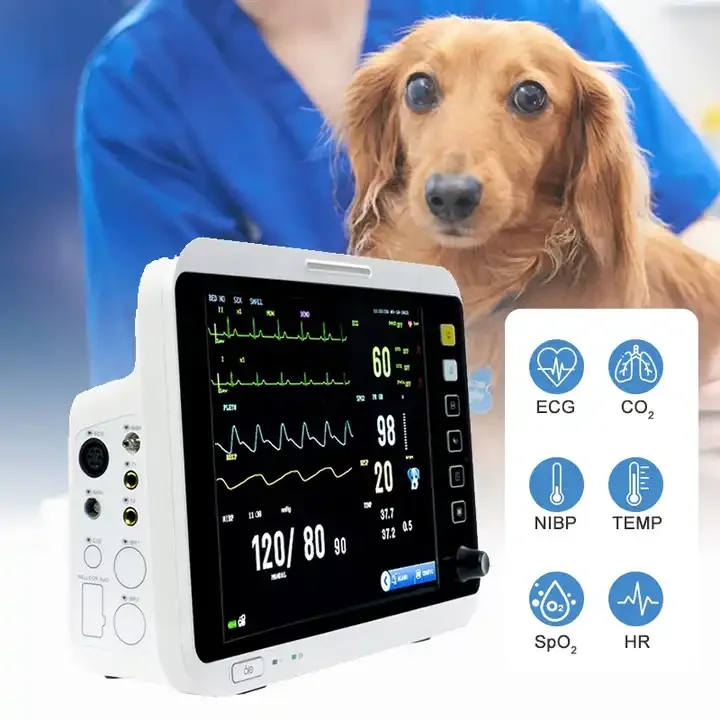 Best Price Rayman 12.1 Inch Large Screen Veterinary Monitor for Multi ...