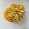 giallo terroso