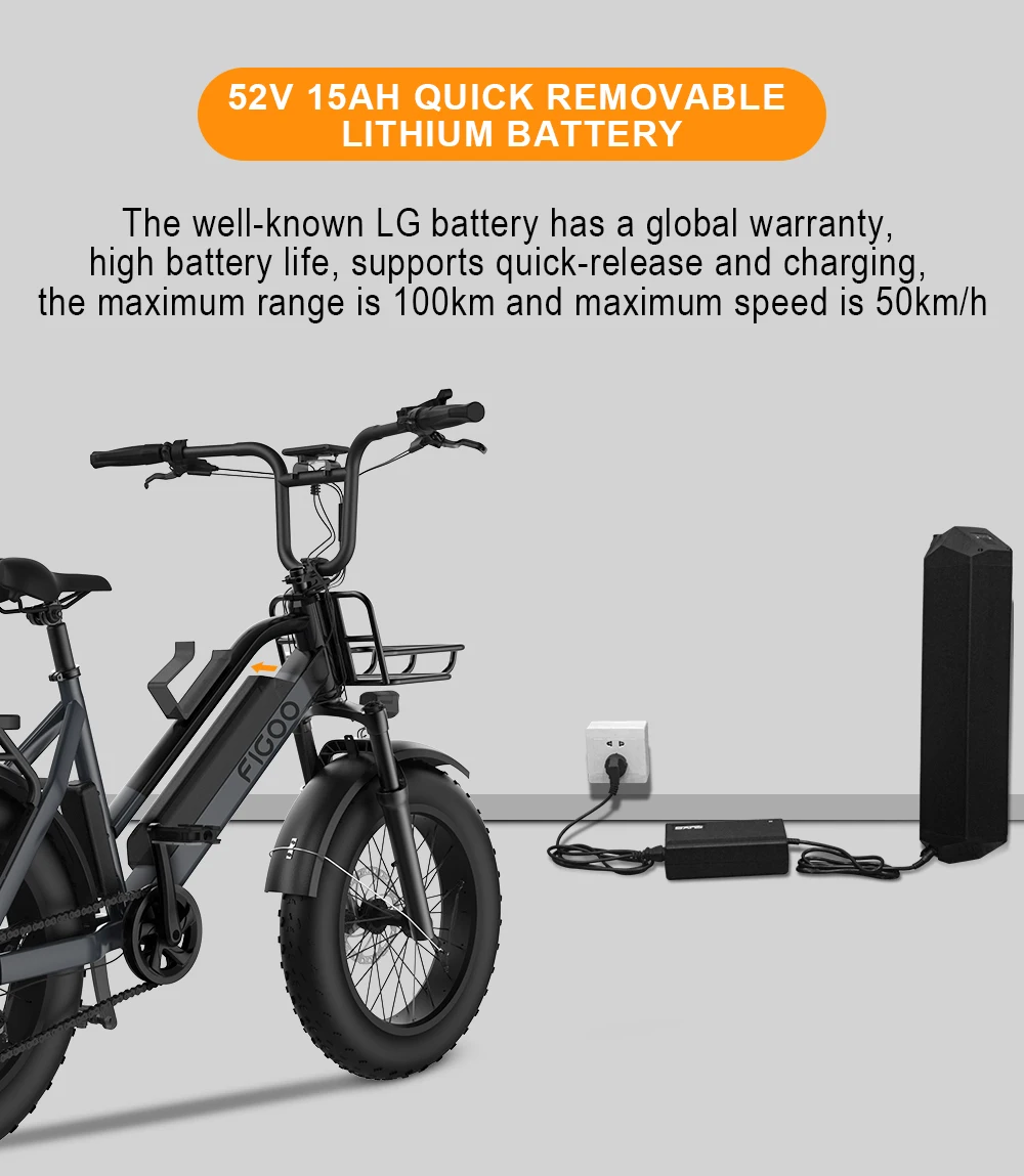 Usa Warehouse Figoo 20 Inch 750w 1000w Electric Fat Tires Hybrid Bike Adult Full Suspension 52v