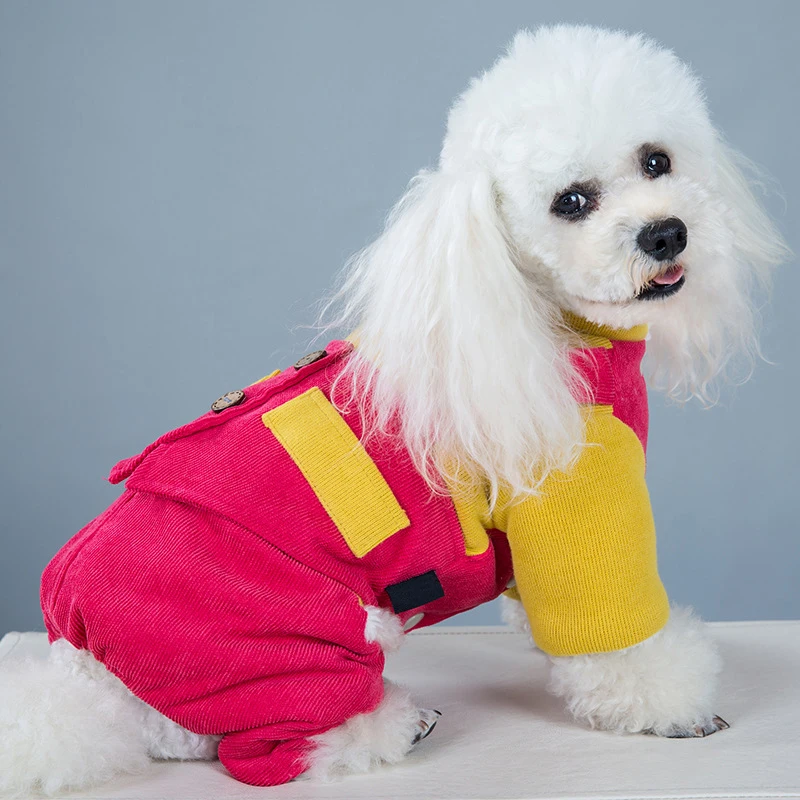 designer dog apparel