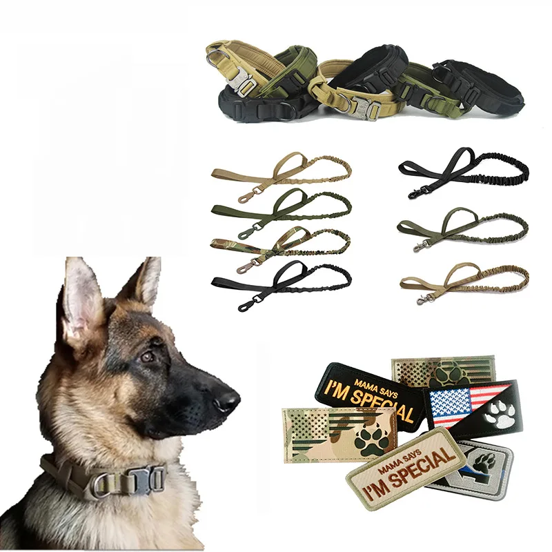 are bungee leashes suitable for german shepherd dog