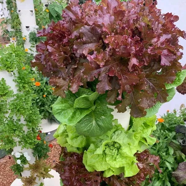 DIY Aeroponic Hydroponics Stackable Growing Systems New Agriculture Garden Vertical Petal Hydroponic Tower Growing Systems