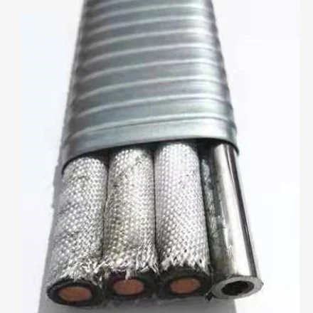 ESP Submersible Pump with Capillary Cable Oil Power Flat Cable