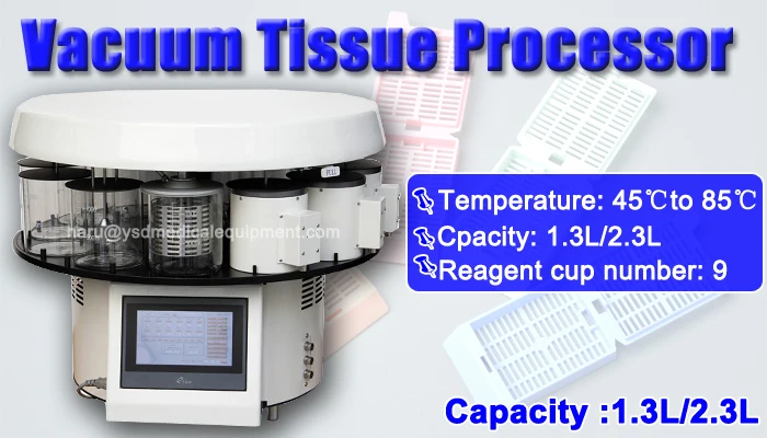 YSD 260-V Automatic Vacuum Spin Tissue Processor