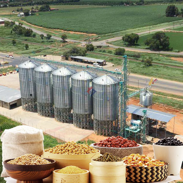 Зерновая кукурузная пшеничная кукурузная рисовая сушильная башня для хранения для фермерского завода