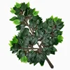 Foglie di banyan di palma sovraincollate