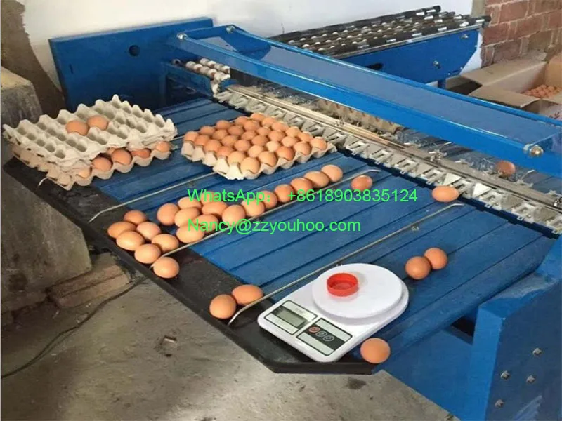 Industrial Small Egg Scale Classification Machine Egg Classifier Weight Grader Sorter Machine Cost