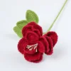 Rosa-borgogna francese
