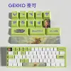 gekko