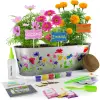 kit de flores
