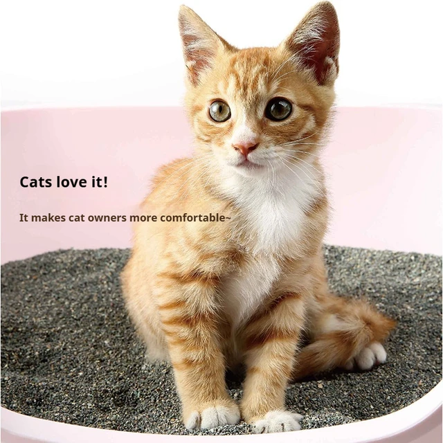 Top Quality Factory Direct Sale Best High Quality 5L/10L Minerals Clumping Cat Litter In China