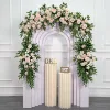 Pink-BG436