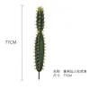 Paquete de cactus de nopal amarillo