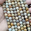 Fossil coral