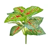 Rosso e verde