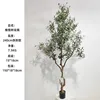 240cm olive tree (detachable version)