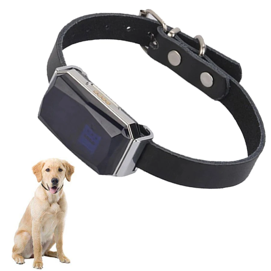 dog collar spy camera