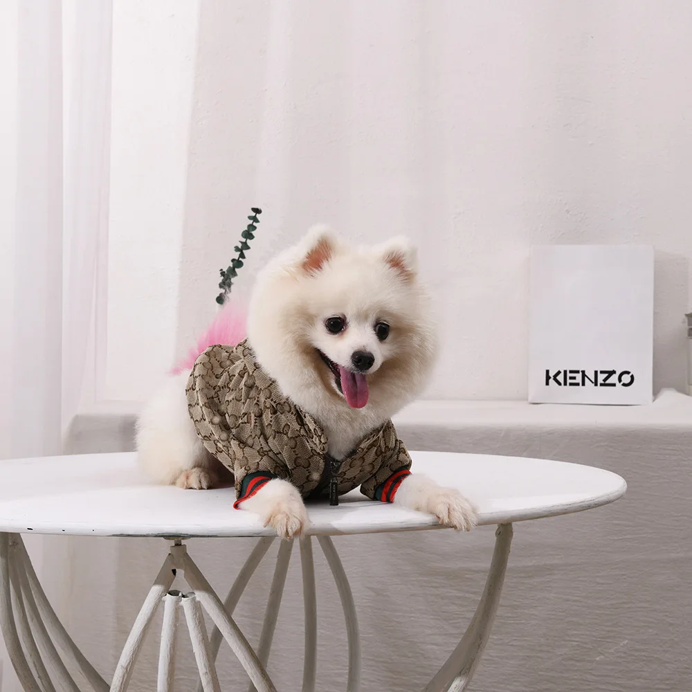 Highend Luxury Fashionable Waterproof Large Pet Rain Coat Dogs Clothes