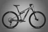 DarkGray
