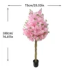 Rose HZ2602-0203