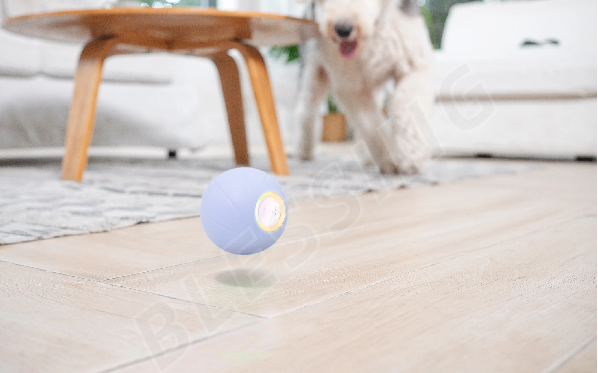 Cheerble Wicked Ball Pe,The Brand New Smart Pet Toy Automatic Dog Ball The Best Interactive Toy