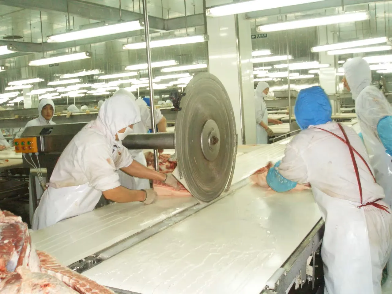 Industrial circular saw cutting frozen beef pork chicken and fish for use in slaughterhouses and factories