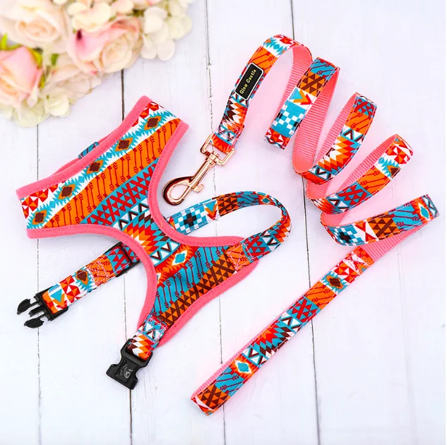 Nylon Personalized Buckle Quick Release Cat Harness And Leash Set