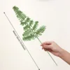 Fern leaf