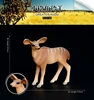 129 Antilope Kudu Piccola
