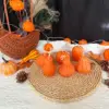 ชุดฟักทอง 6 ชิ้น (สีส้ม)