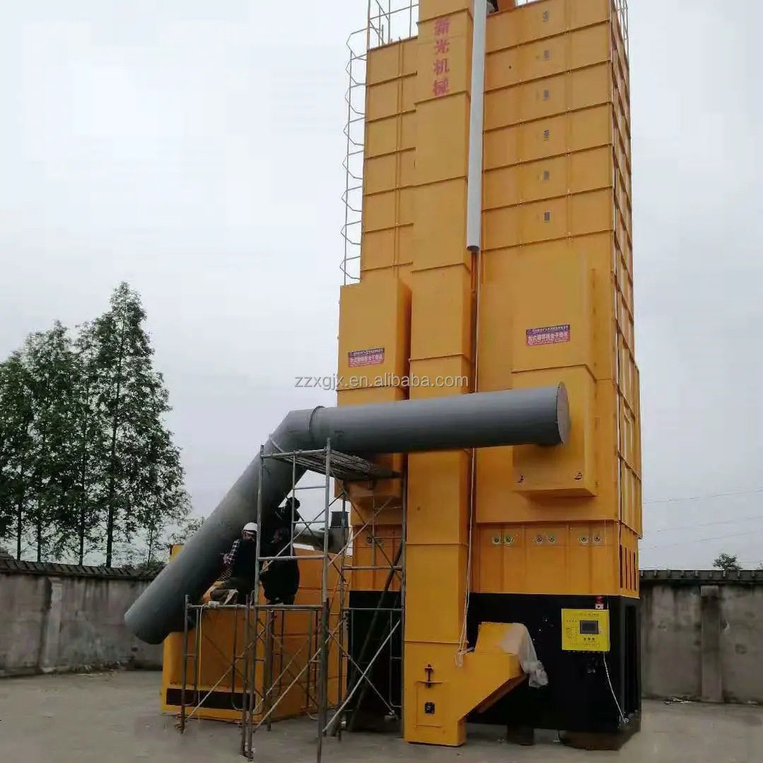 2024 New Type Paddy Dryer Machine Hot Selling in Vietnam