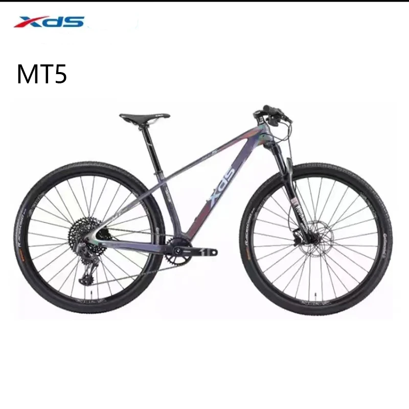 xds mtb carbon frame