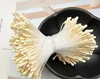 Albaricoque beige 13