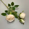 #10 rosa