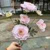 Rosa claro