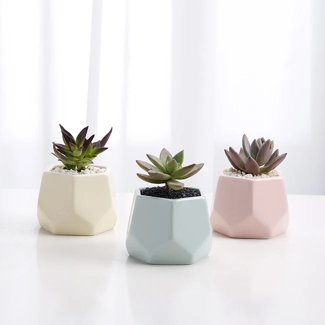 Macetas Suculentas Pequeñas De Diseño Geométrico Para Interior De La Sala  De Estar,Maceta De Regalo De Cerámica Para El Hogar,Jardín,Decoración De  Flores,Venta Al Por Mayor - Buy De Cerámica Regalo Ollas,Suculentas Macetas