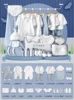 Blue-Four Seasons 28-piece Set