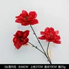 ดอกโบตั๋นหิมะ 3 หัว - ดอกโบตั๋นเล็ก 3 ดอก