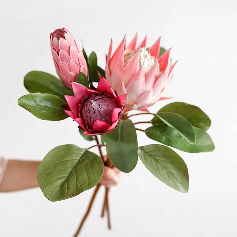 Johanne Broberg: Fake Protea Flowers For Sale - Hotsale Artificial ...